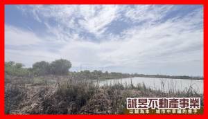 誠昱/安南天馬段持分.